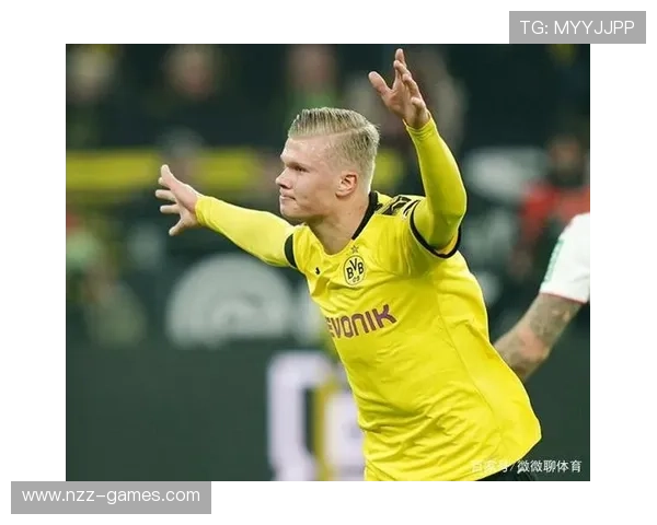 哈兰德追忆德甲岁月：成长与锋芒并存